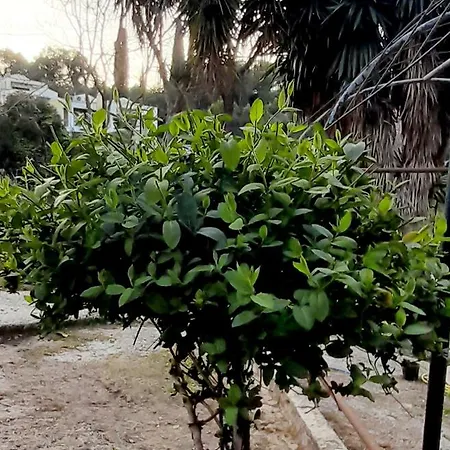 Appartamento Gioda